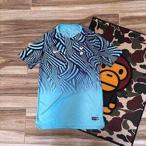 Blue Nike Dri Fit Tottenham Hotspur 18-19 Training Football Soccer Jersey